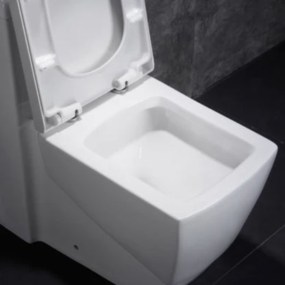 LessCare Dual Flush One Piece Modern Toilet