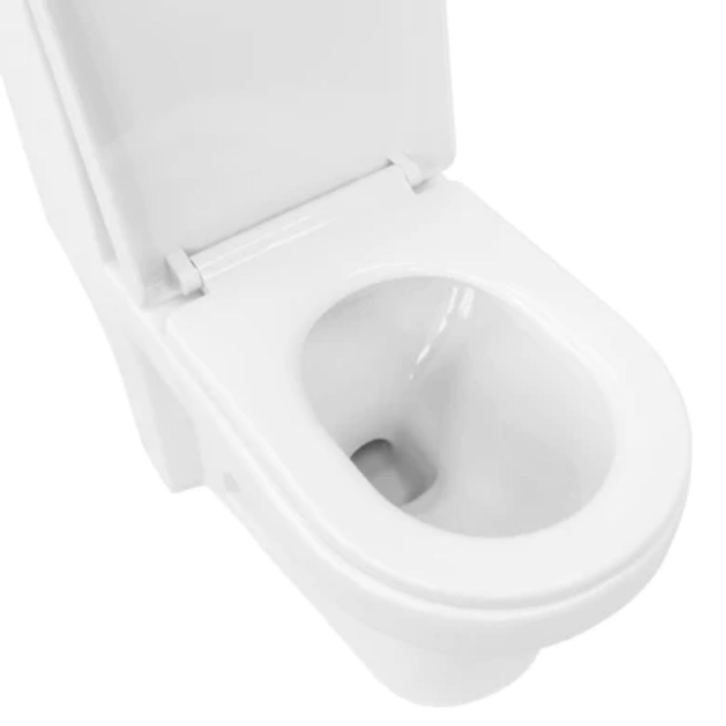 LessCare Single Flush One Piece Modern Toilet - LT9