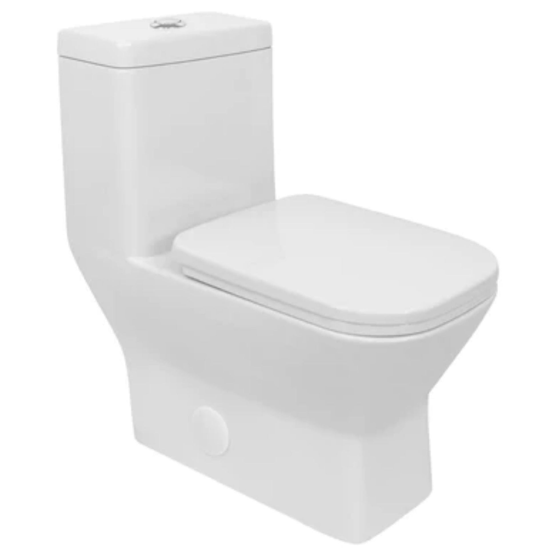 LessCare Single Flush One Piece Modern Toilet