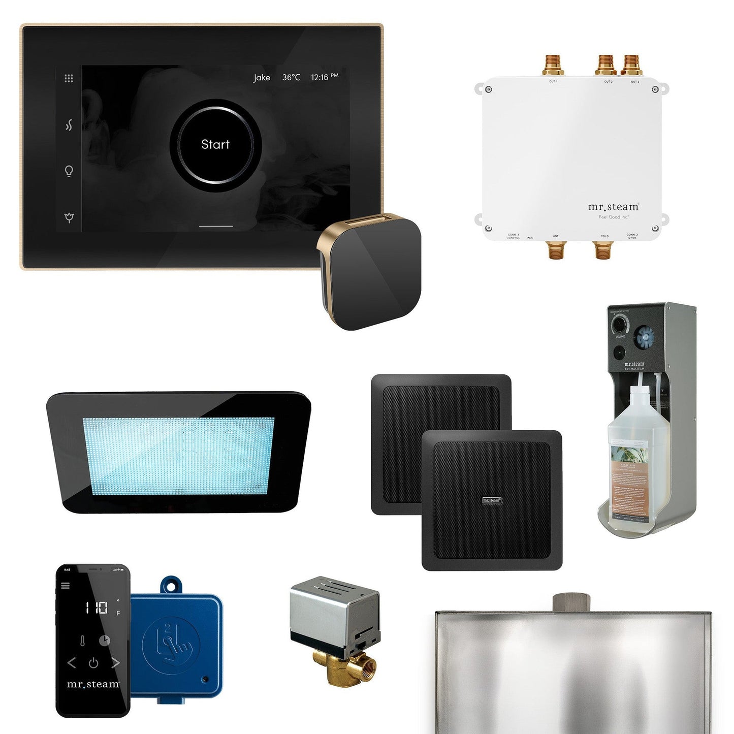 MrSteam Bliss 22" Programmable Steam Generator Control Kit With iSteamX Control and Aroma Glass Steamhead in Black Brushed Bronze
