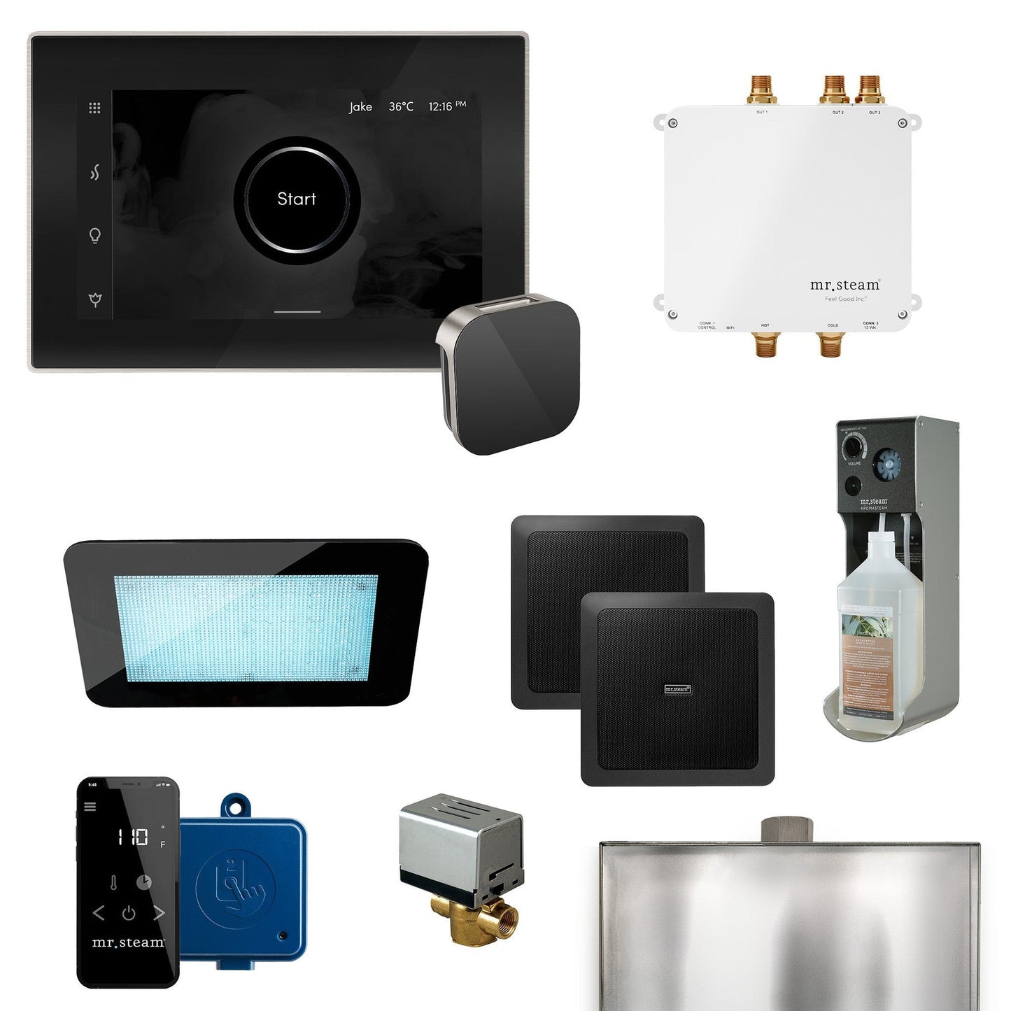 MrSteam Bliss 22" Programmable Steam Generator Control Kit With iSteamX Control and Aroma Glass Steamhead in Black Brushed Nickel
