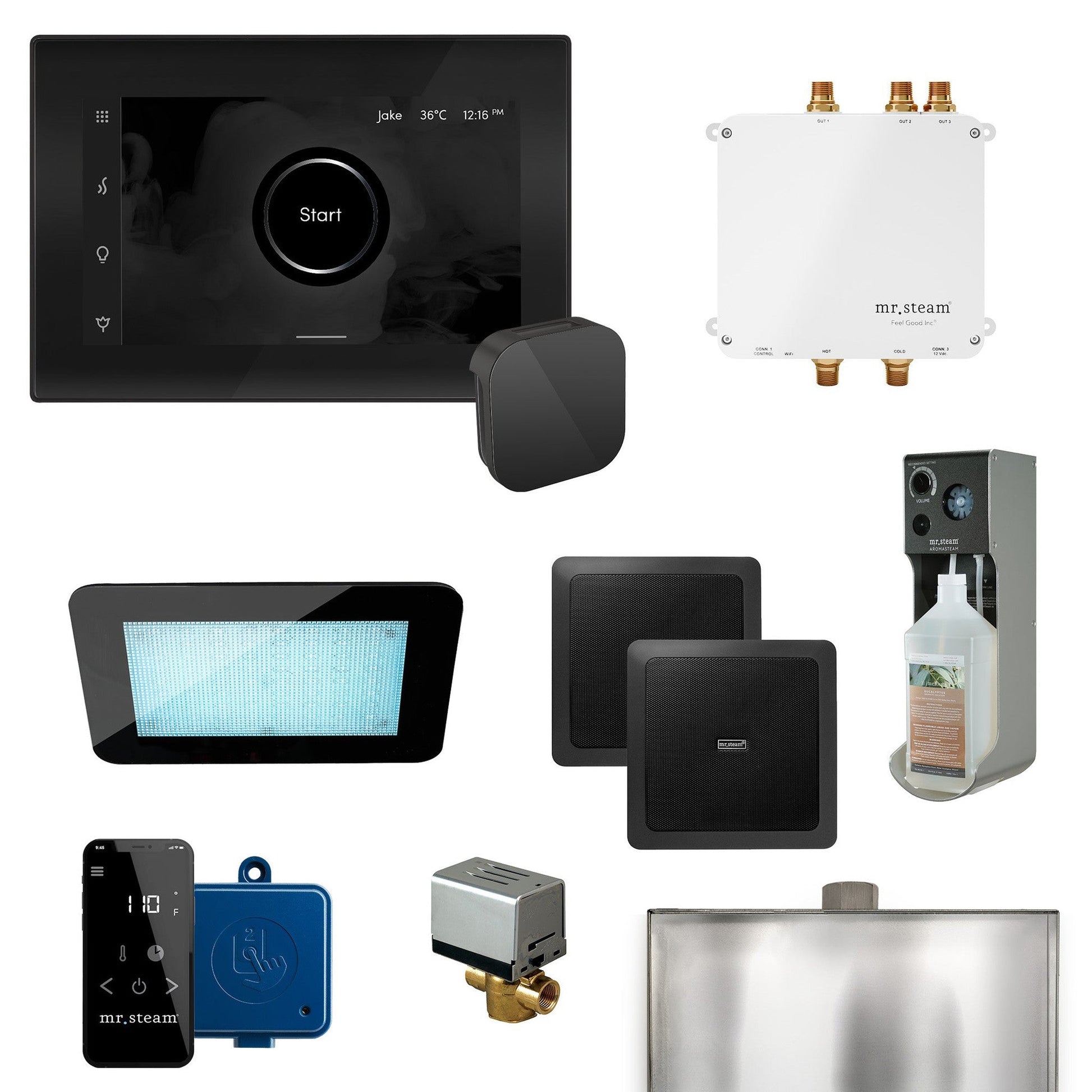 MrSteam Bliss 22" Programmable Steam Generator Control Kit With iSteamX Control and Aroma Glass Steamhead in Black Matte Black