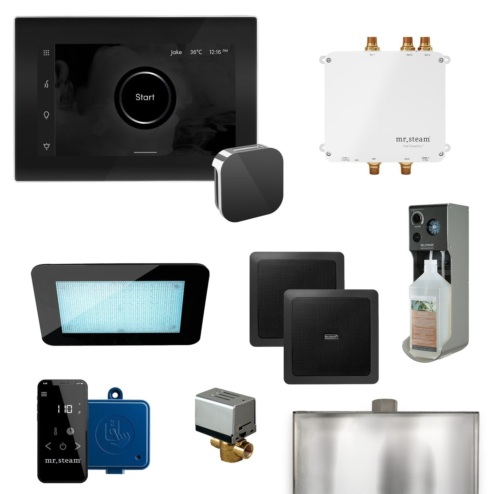 MrSteam Bliss 22" Programmable Steam Generator Control Kit With iSteamX Control and Aroma Glass Steamhead in Black Polished Chrome