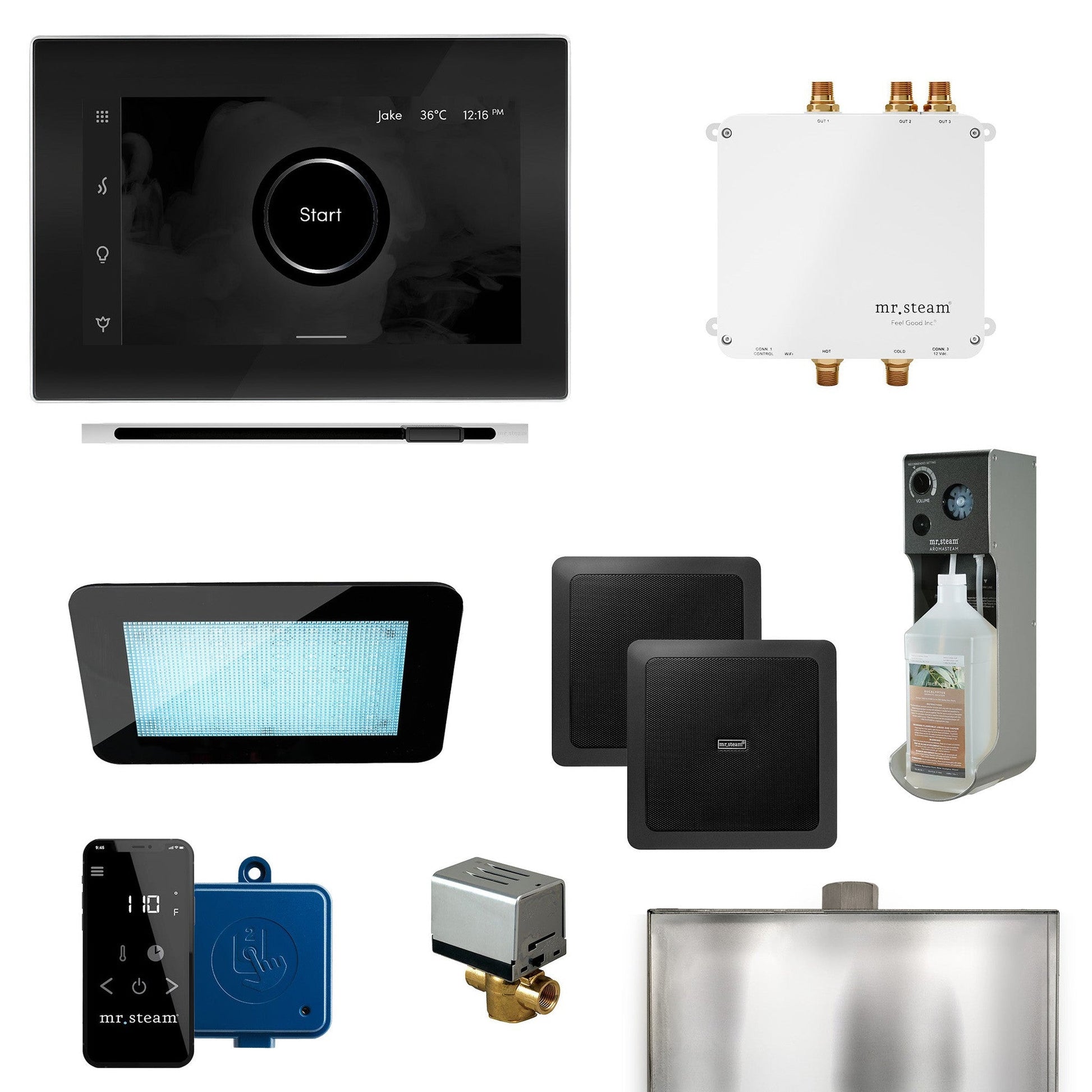 MrSteam Bliss Linear 22" Programmable Steam Generator Control Kit With iSteamX Control and Linear Steamhead in Black Polished Chrome