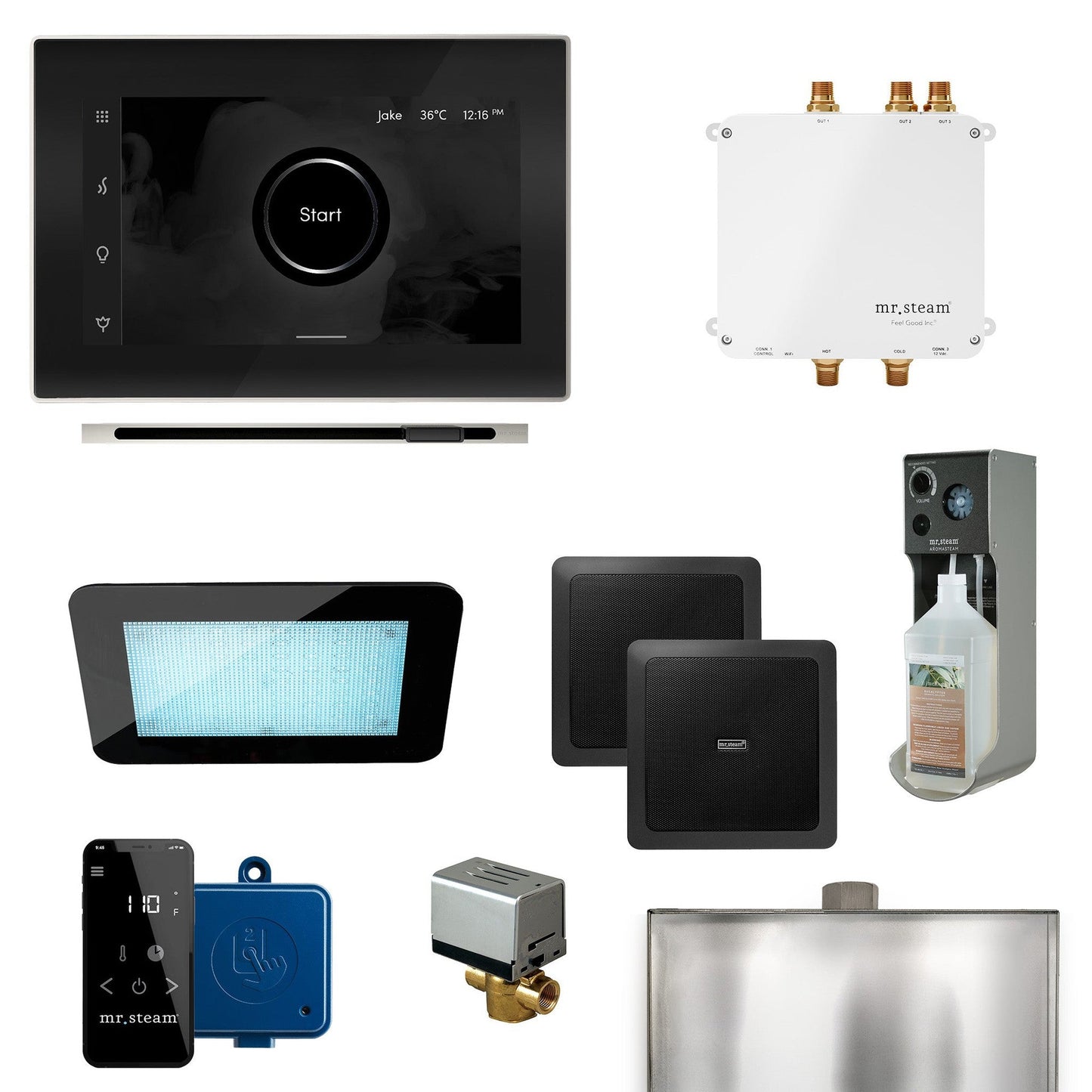 MrSteam Bliss Linear 22" Programmable Steam Generator Control Kit With iSteamX Control and Linear Steamhead in Black Polished Nickel