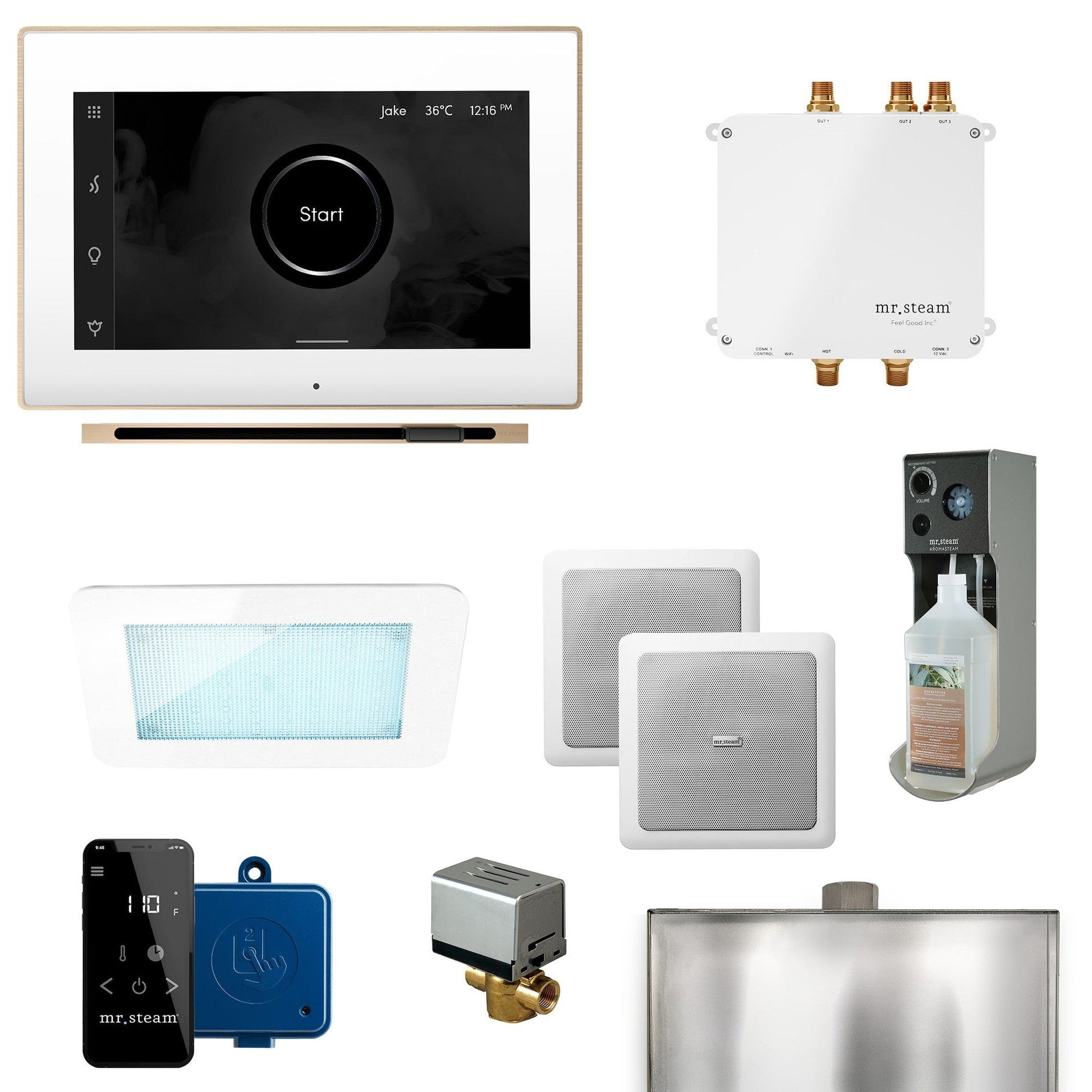 MrSteam Bliss Linear 22" Programmable Steam Generator Control Kit With iSteamX Control and Linear Steamhead in White Brushed Bronze