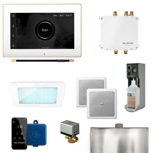 MrSteam Bliss Linear 22" Programmable Steam Generator Control Kit With iSteamX Control and Linear Steamhead in White Polished Brass