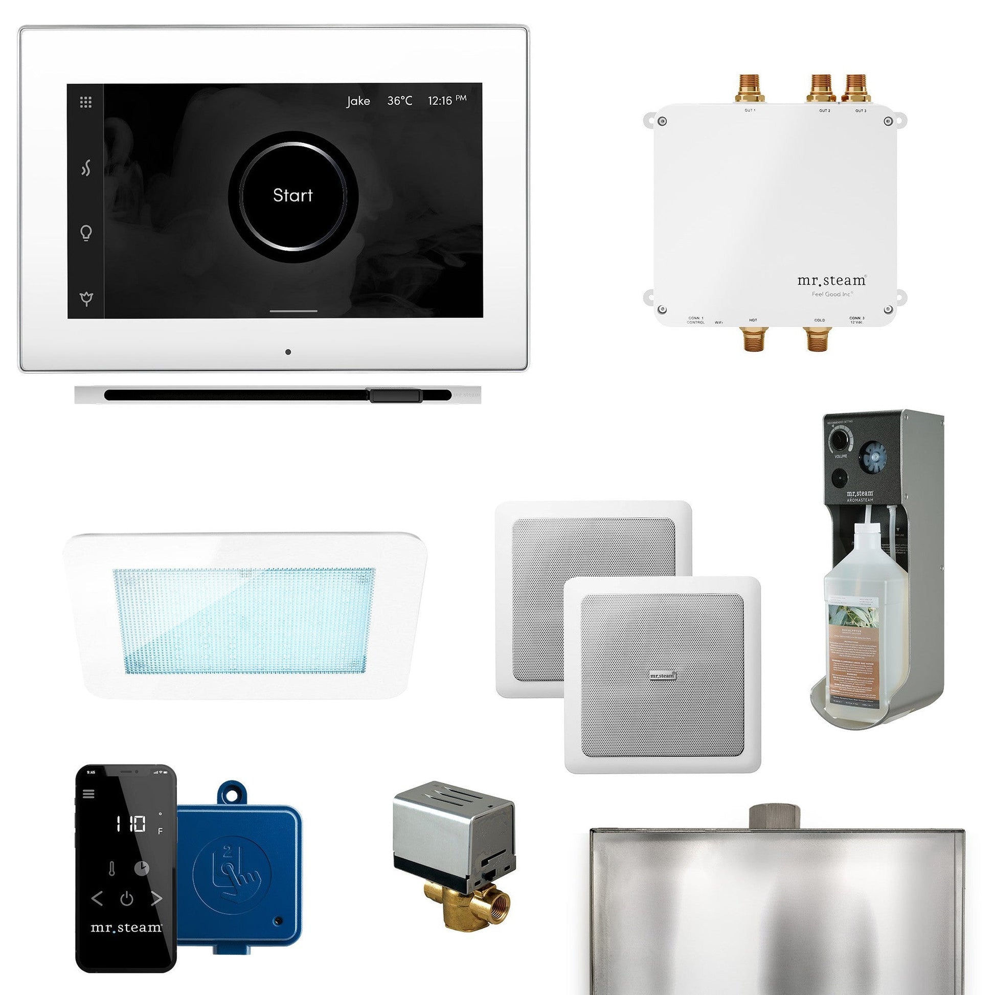 MrSteam Bliss Linear 22" Programmable Steam Generator Control Kit With iSteamX Control and Linear Steamhead in White Polished Chrome