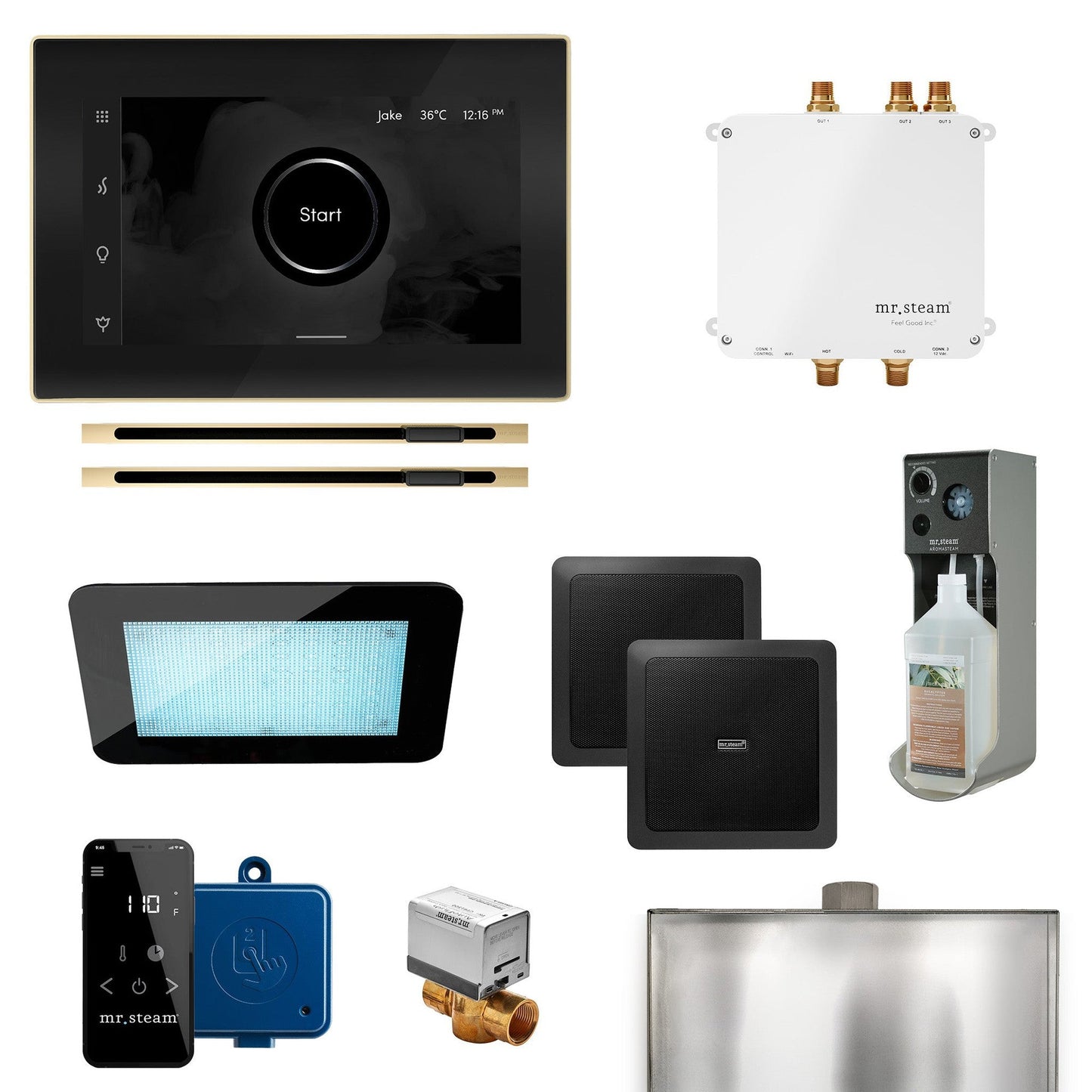 MrSteam Bliss Max 24" Linear Programmable Steam Generator Control Kit With iSteamX Control and Linear Steamhead in Black Polished Brass