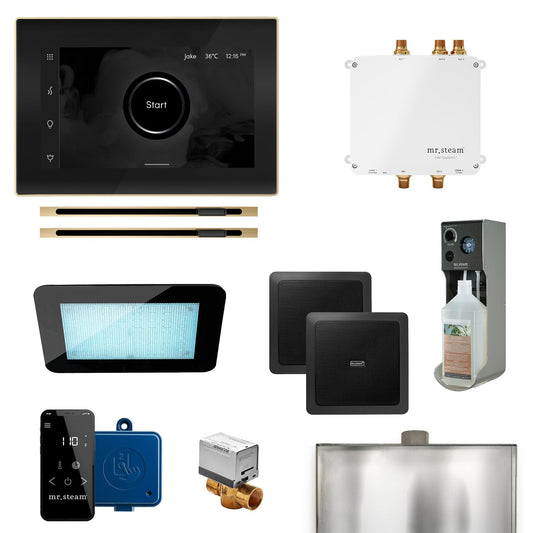 MrSteam Bliss Max 24" Linear Programmable Steam Generator Control Kit With iSteamX Control and Linear Steamhead in Black Satin Brass