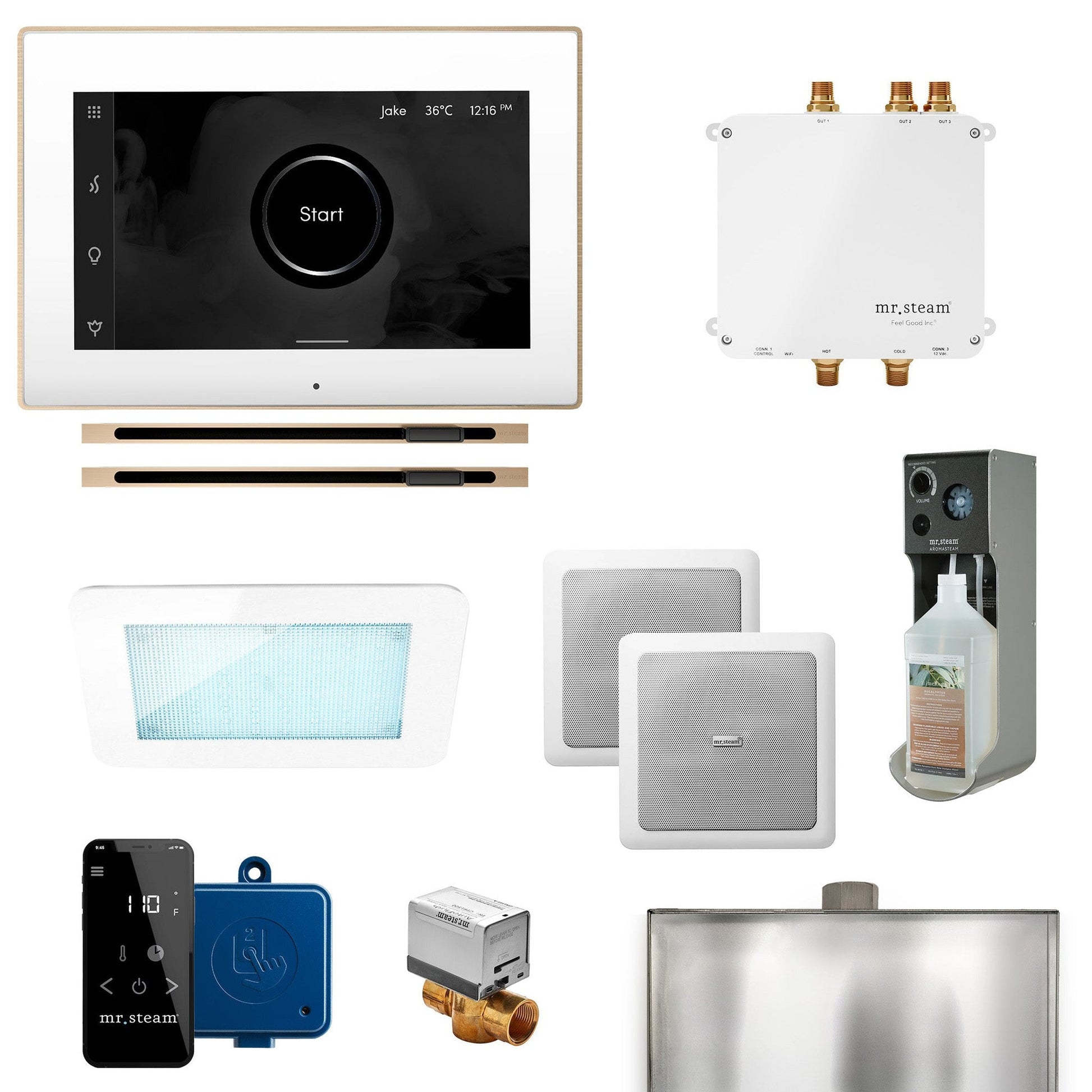 MrSteam Bliss Max 24" Linear Programmable Steam Generator Control Kit With iSteamX Control and Linear Steamhead in White Brushed Bronze