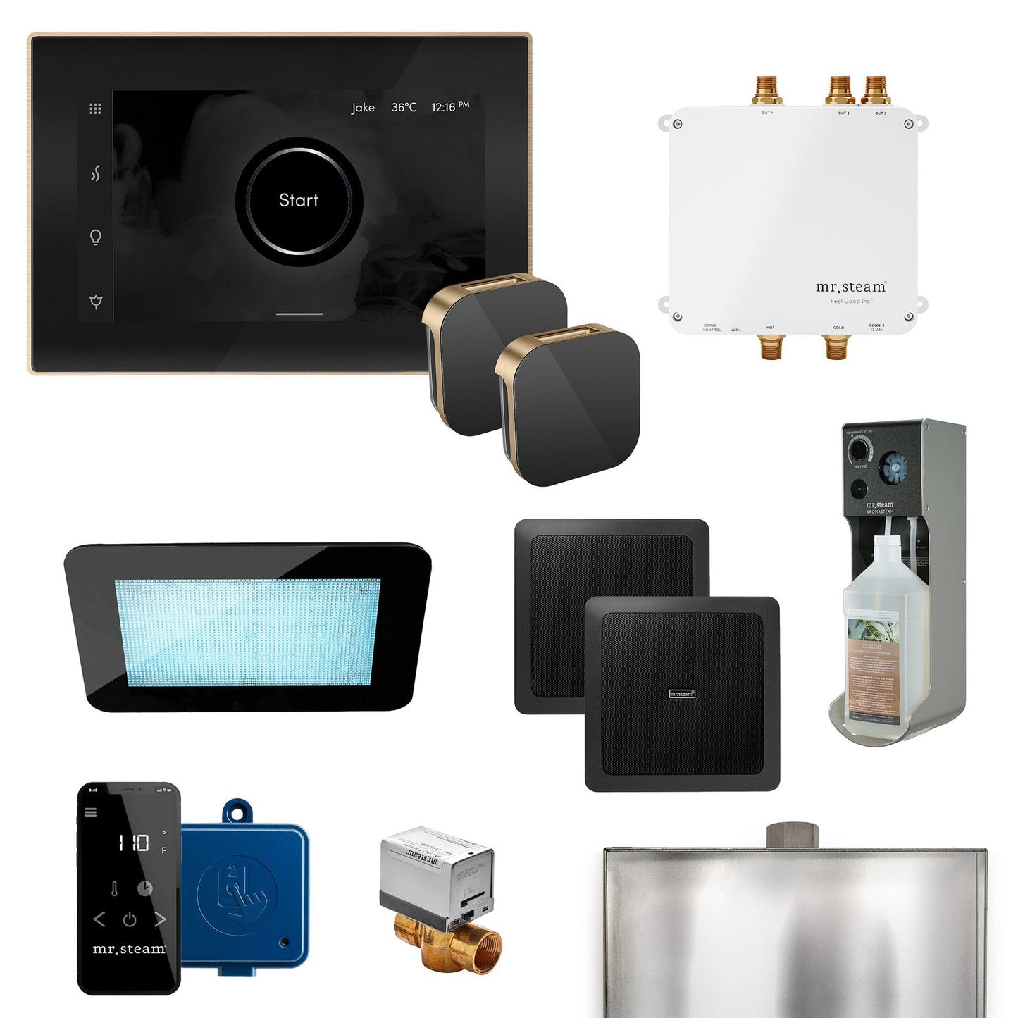 MrSteam Bliss Max 36" Programmable Steam Generator Control Kit With iSteamX Control and Aroma Glass Steamhead in Black Brushed Bronze