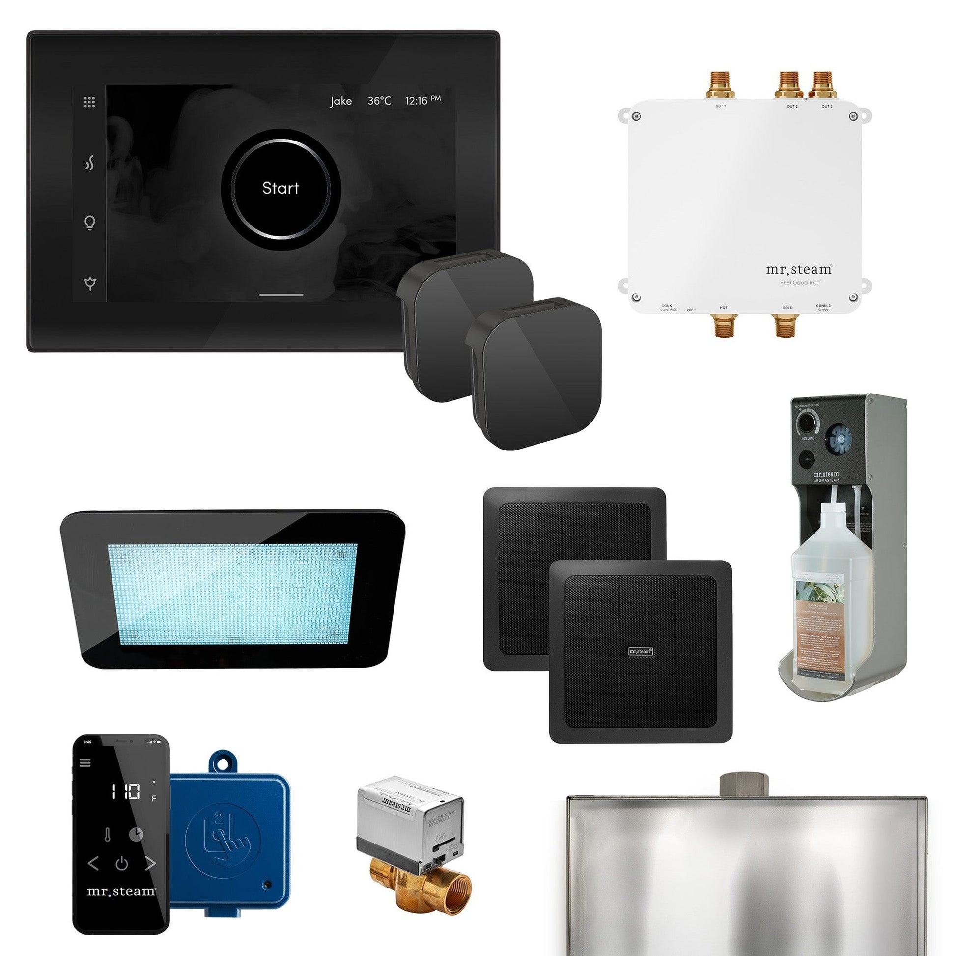 MrSteam Bliss Max 36" Programmable Steam Generator Control Kit With iSteamX Control and Aroma Glass Steamhead in Black Matte Black
