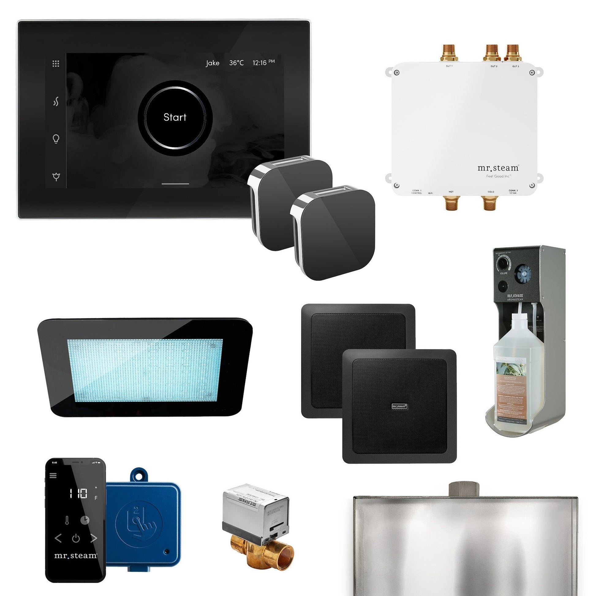 MrSteam Bliss Max 36" Programmable Steam Generator Control Kit With iSteamX Control and Aroma Glass Steamhead in Black Polished Chrome