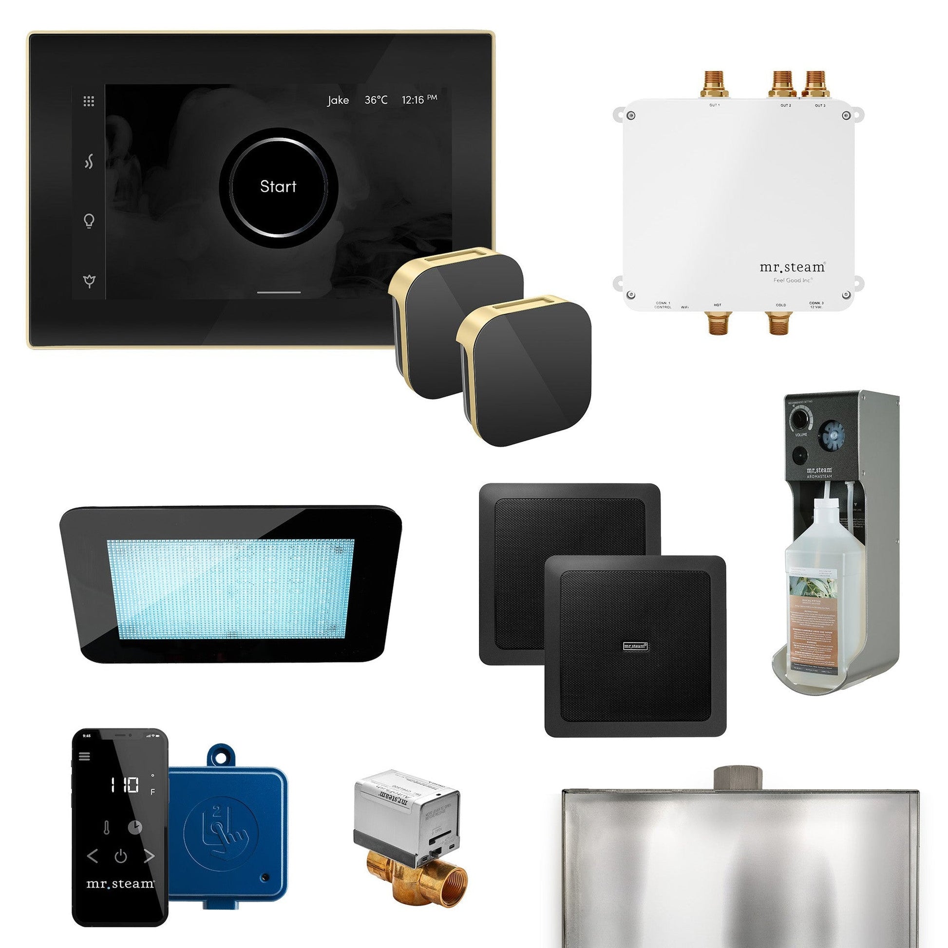 MrSteam Bliss Max 36" Programmable Steam Generator Control Kit With iSteamX Control and Aroma Glass Steamhead in Black Satin Brass