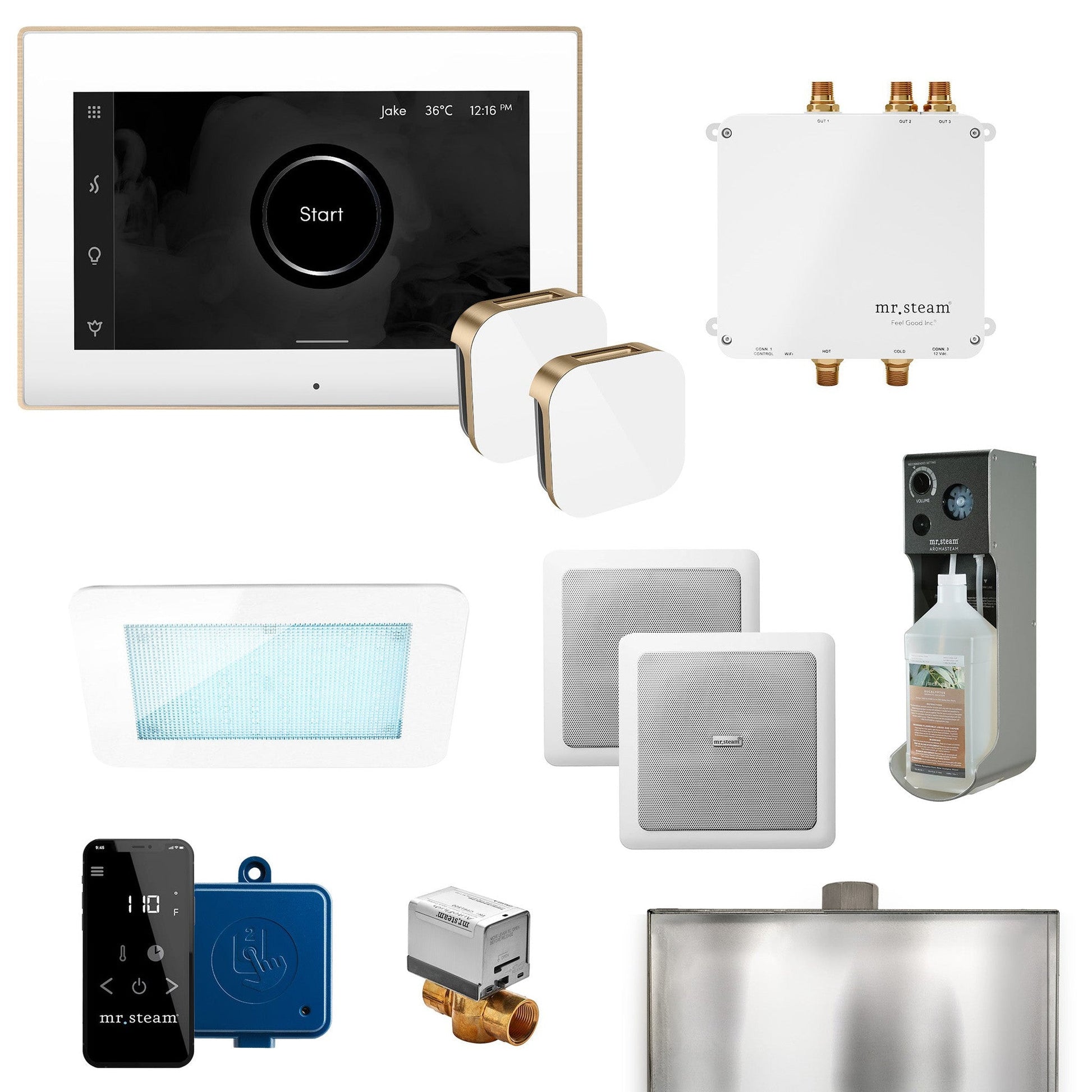 MrSteam Bliss Max 36" Programmable Steam Generator Control Kit With iSteamX Control and Aroma Glass Steamhead in White Brushed Bronze