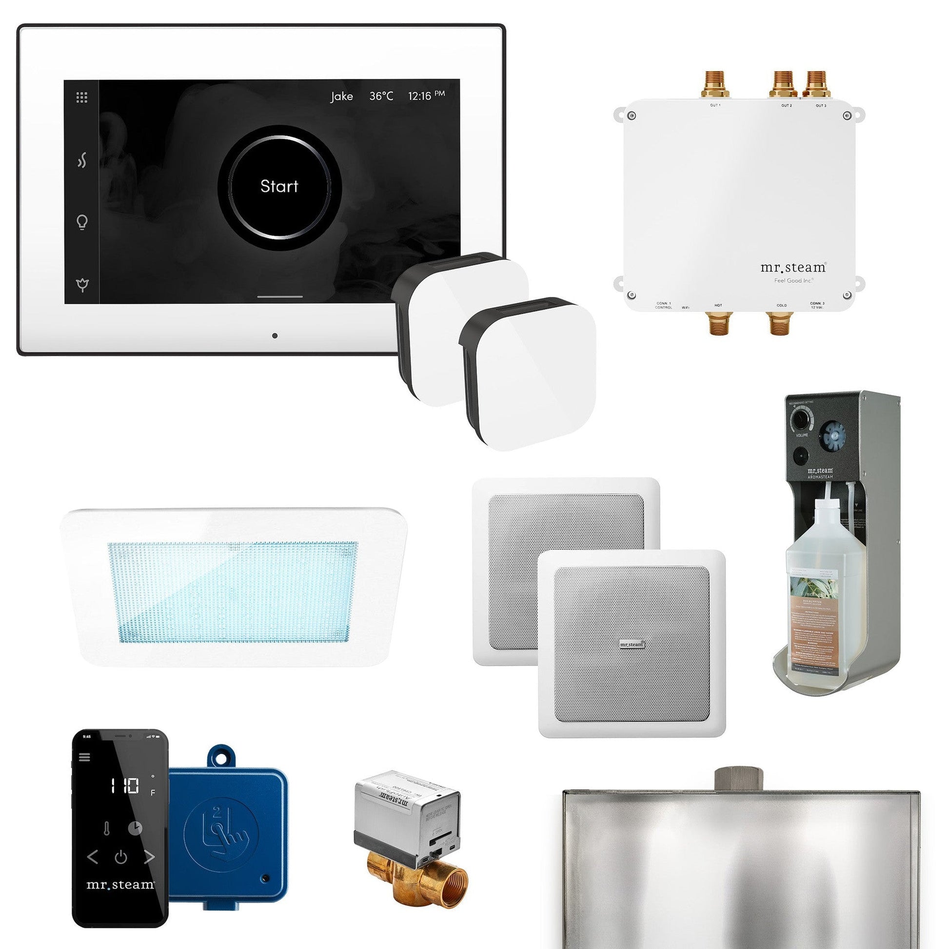 MrSteam Bliss Max 36" Programmable Steam Generator Control Kit With iSteamX Control and Aroma Glass Steamhead in White Matte Black