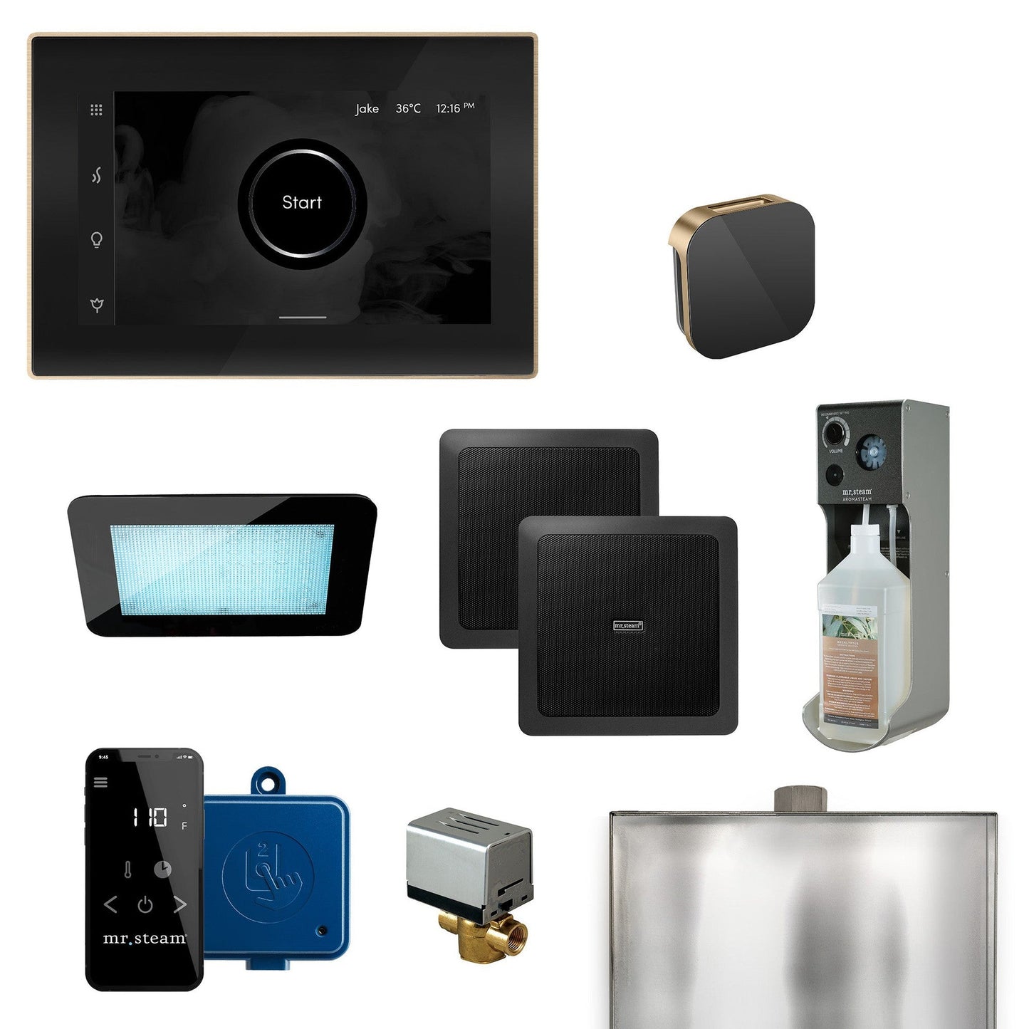 MrSteam XDream 22" Programmable Steam Generator Control Kit With iSteamX Control and Aroma Glass Steamhead in Black Brushed Bronze
