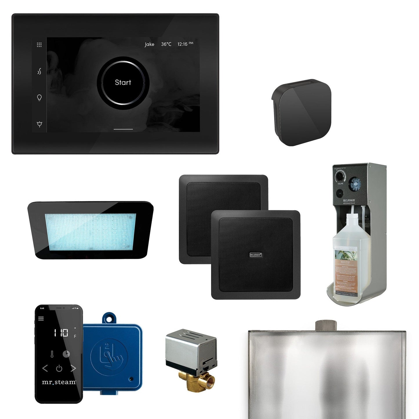 MrSteam XDream 22" Programmable Steam Generator Control Kit With iSteamX Control and Aroma Glass Steamhead in Black Matte Black