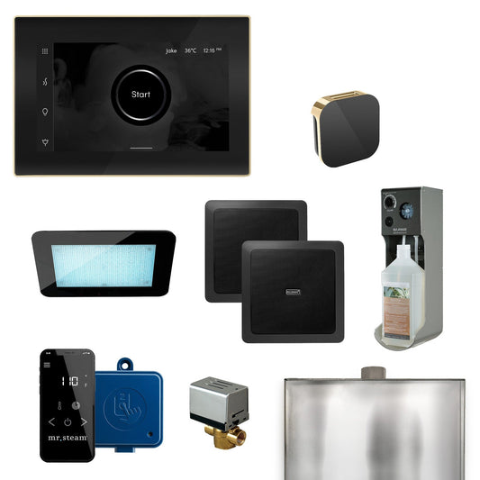 MrSteam XDream 22" Programmable Steam Generator Control Kit With iSteamX Control and Aroma Glass Steamhead in Black Polished Brass