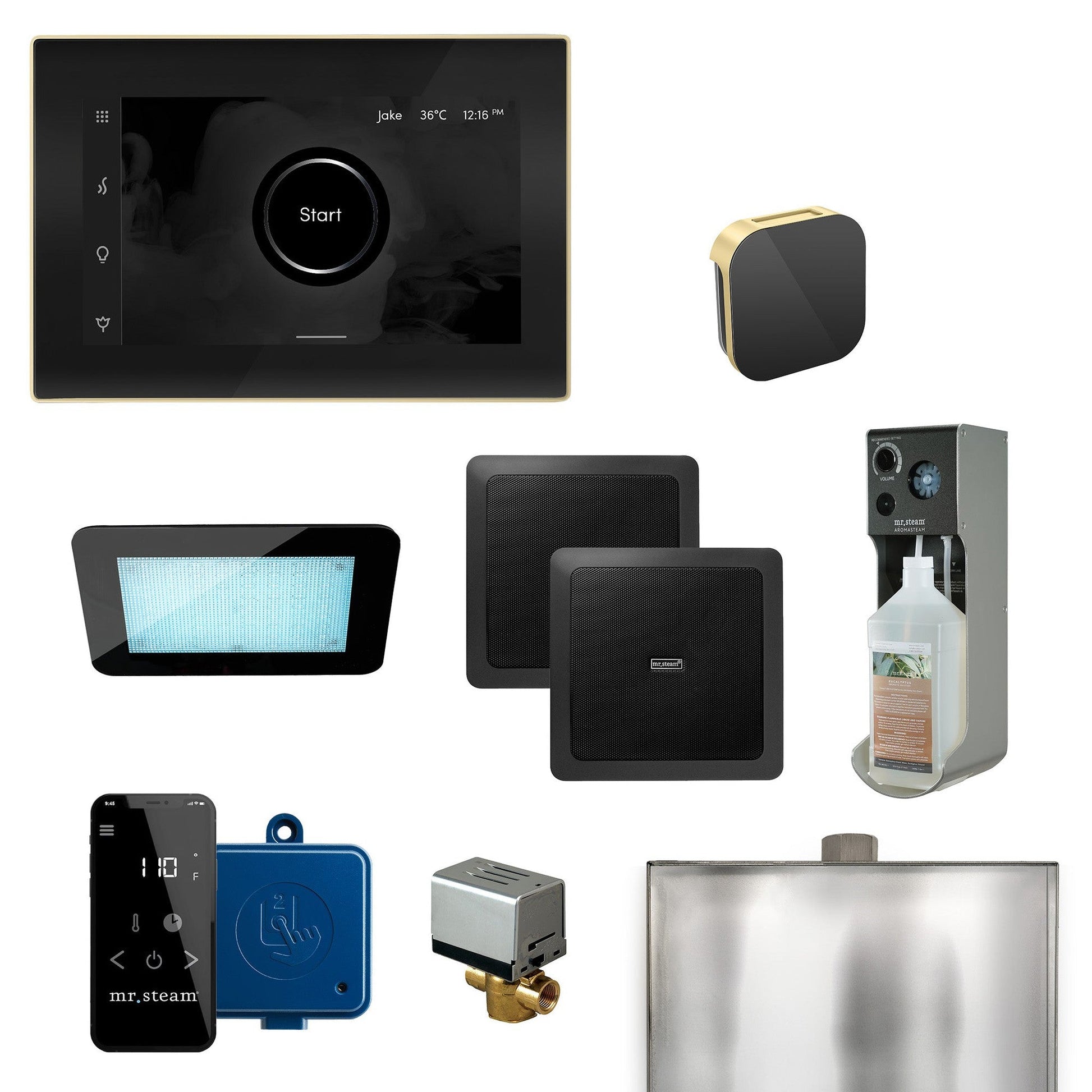 MrSteam XDream 22" Programmable Steam Generator Control Kit With iSteamX Control and Aroma Glass Steamhead in Black Satin Brass