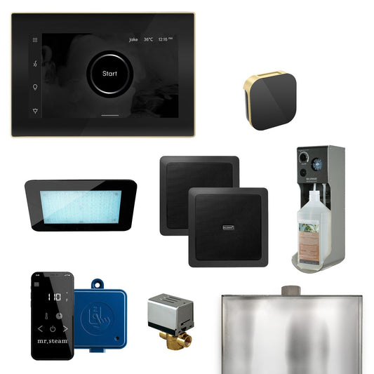 MrSteam XDream 22" Programmable Steam Generator Control Kit With iSteamX Control and Aroma Glass Steamhead in Black Satin Brass
