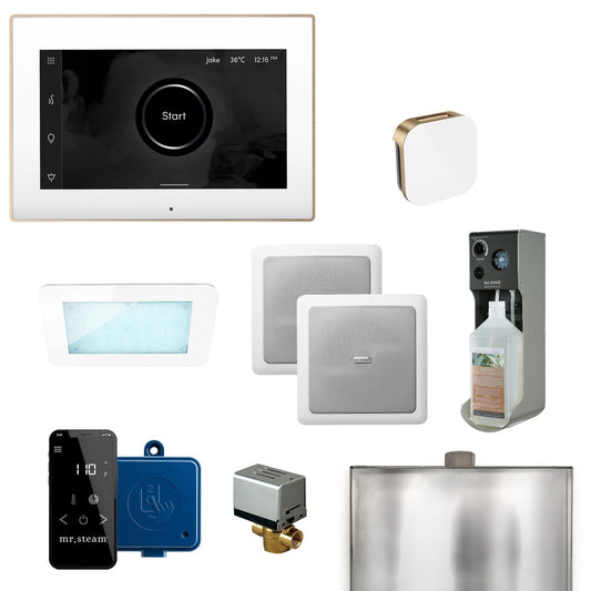MrSteam XDream 22" Programmable Steam Generator Control Kit With iSteamX Control and Aroma Glass Steamhead in White Brushed Bronze