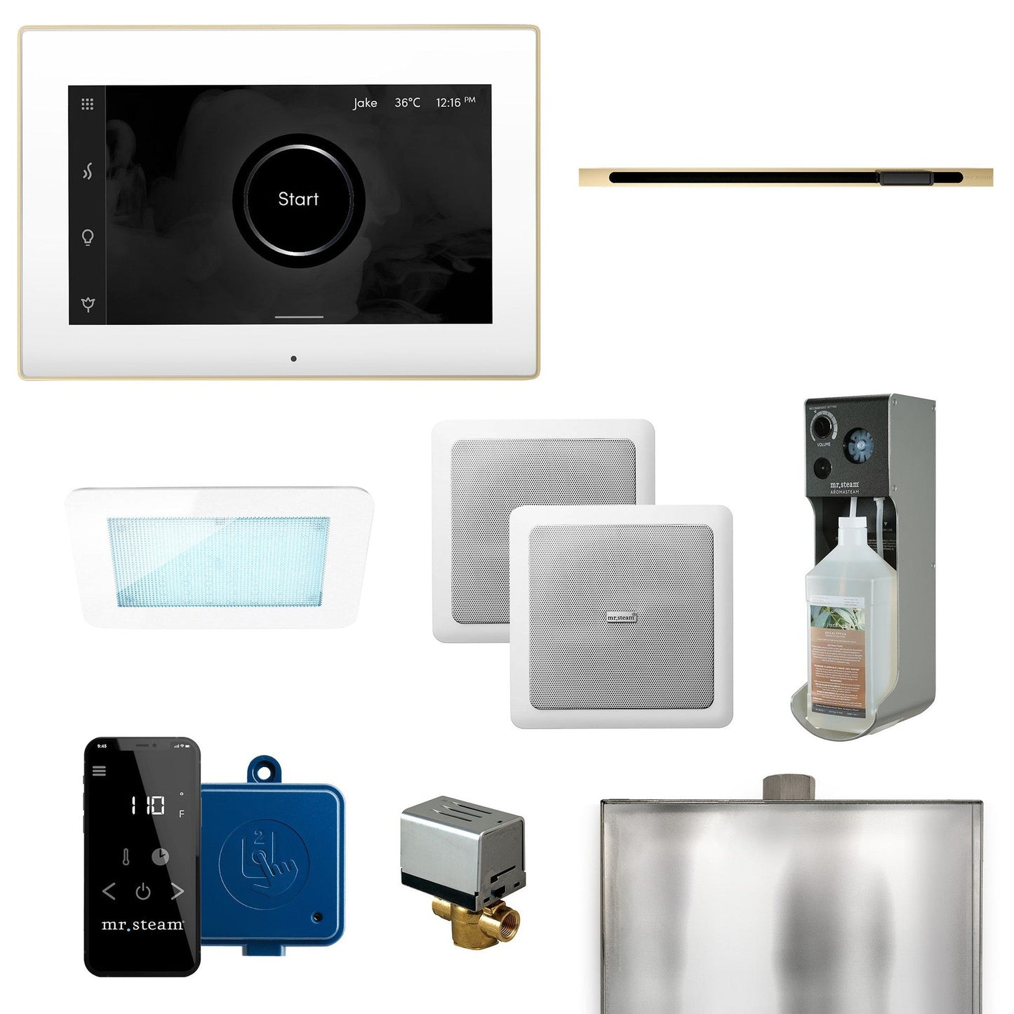 MrSteam XDream Linear 22" Programmable Steam Generator Control Kit With iSteamX Control and Linear Steamhead in White Polished Brass
