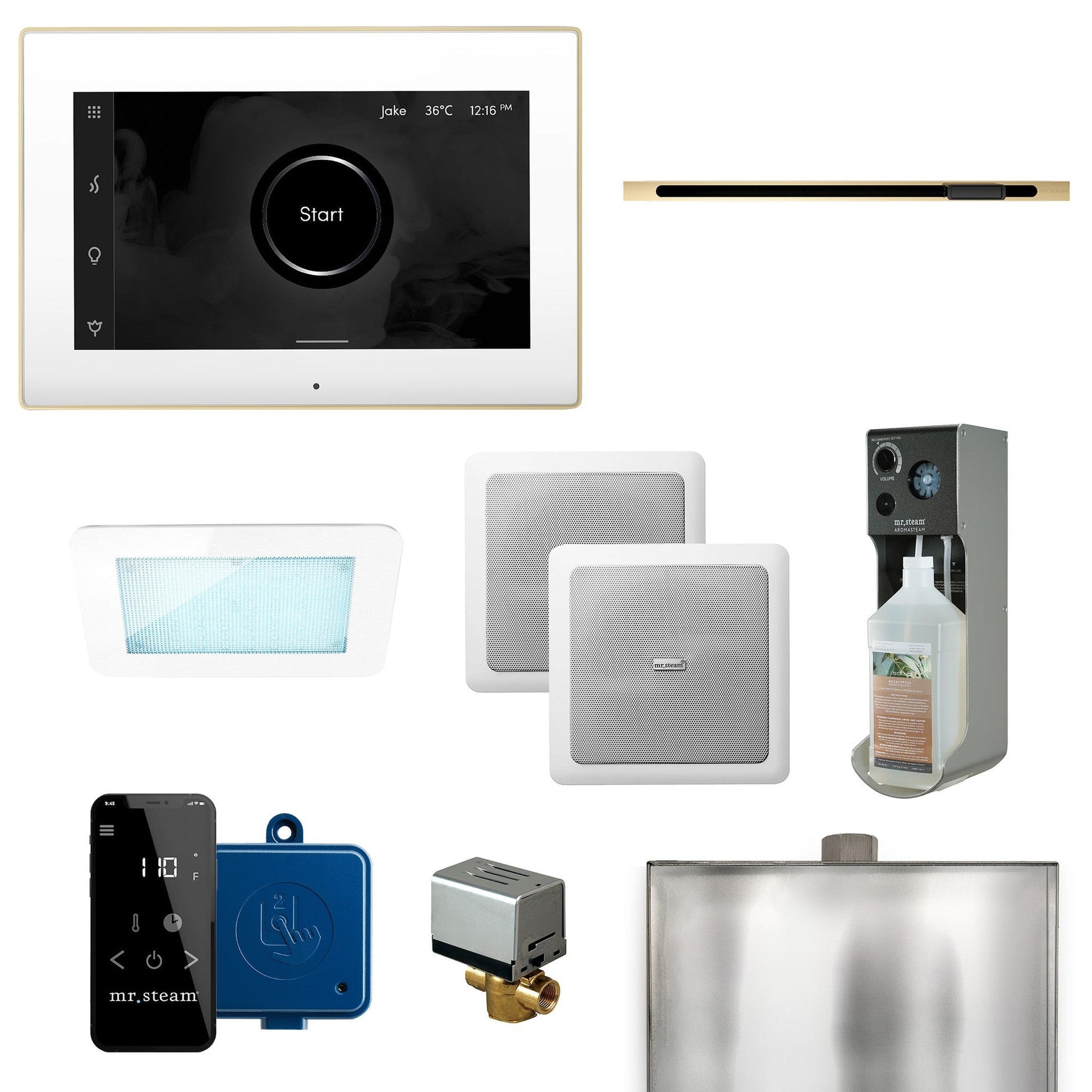 MrSteam XDream Linear 22" Programmable Steam Generator Control Kit With iSteamX Control and Linear Steamhead in White Polished Brass
