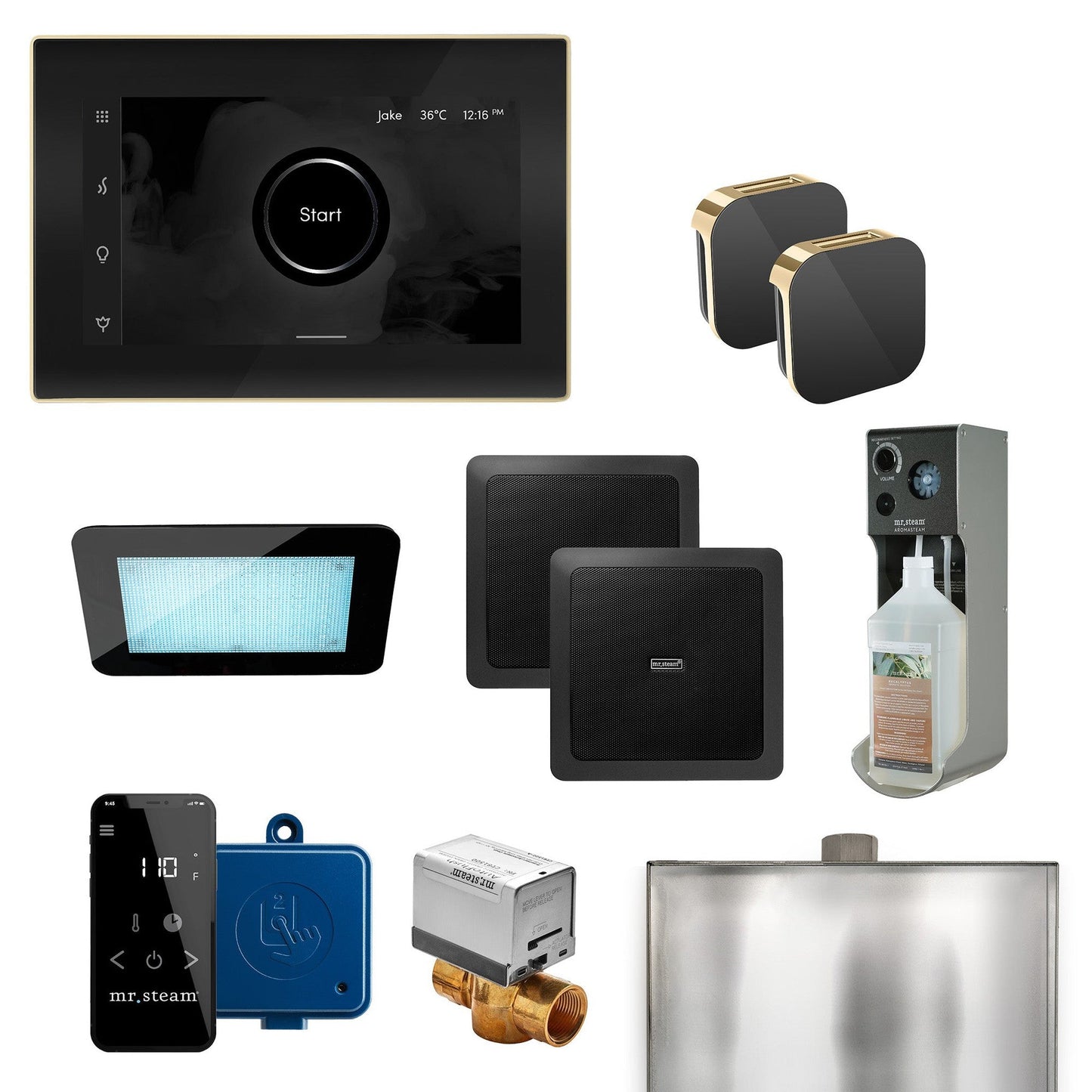MrSteam XDream Max 36" Programmable Steam Generator Control Kit With iSteamX Control and Aroma Glass Steamhead in Black Polished Brass