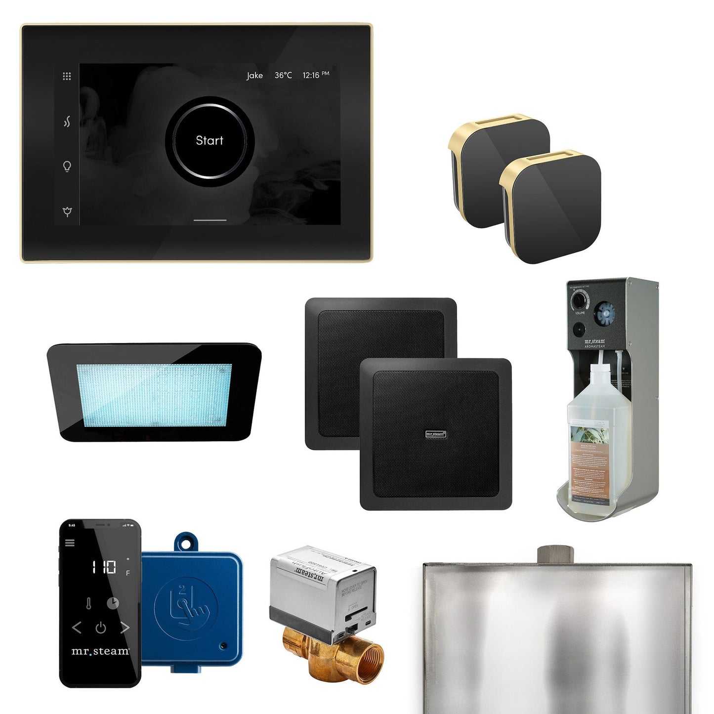 MrSteam XDream Max 36" Programmable Steam Generator Control Kit With iSteamX Control and Aroma Glass Steamhead in Black Satin Brass