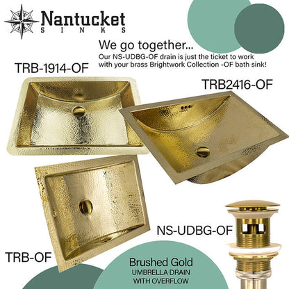 Nantucket Sinks Brightwork Home 20" W x 13" D" Rectangular Hand Hammered Polished Brass Undermount Sink With Overflow