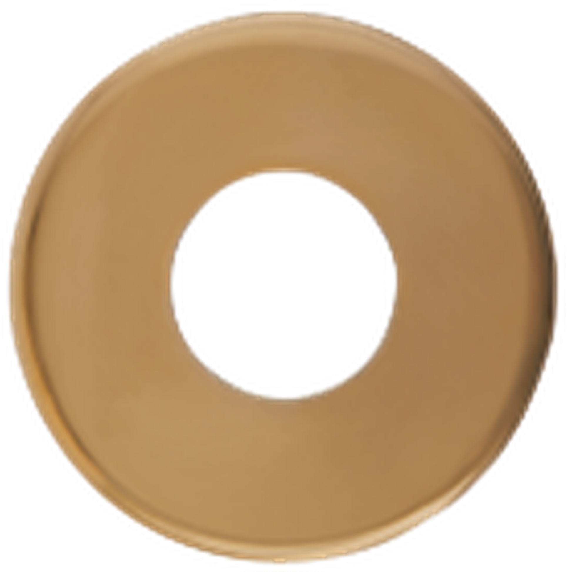 Seachrome Conorado Series Polished Brass Powder Coat 1.5" Diameter Exposed Mounting Flange Door Bumper