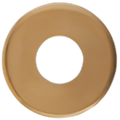 Seachrome Conorado Series Polished Brass Powder Coat 1.5" Diameter Exposed Mounting Flange Door Bumper