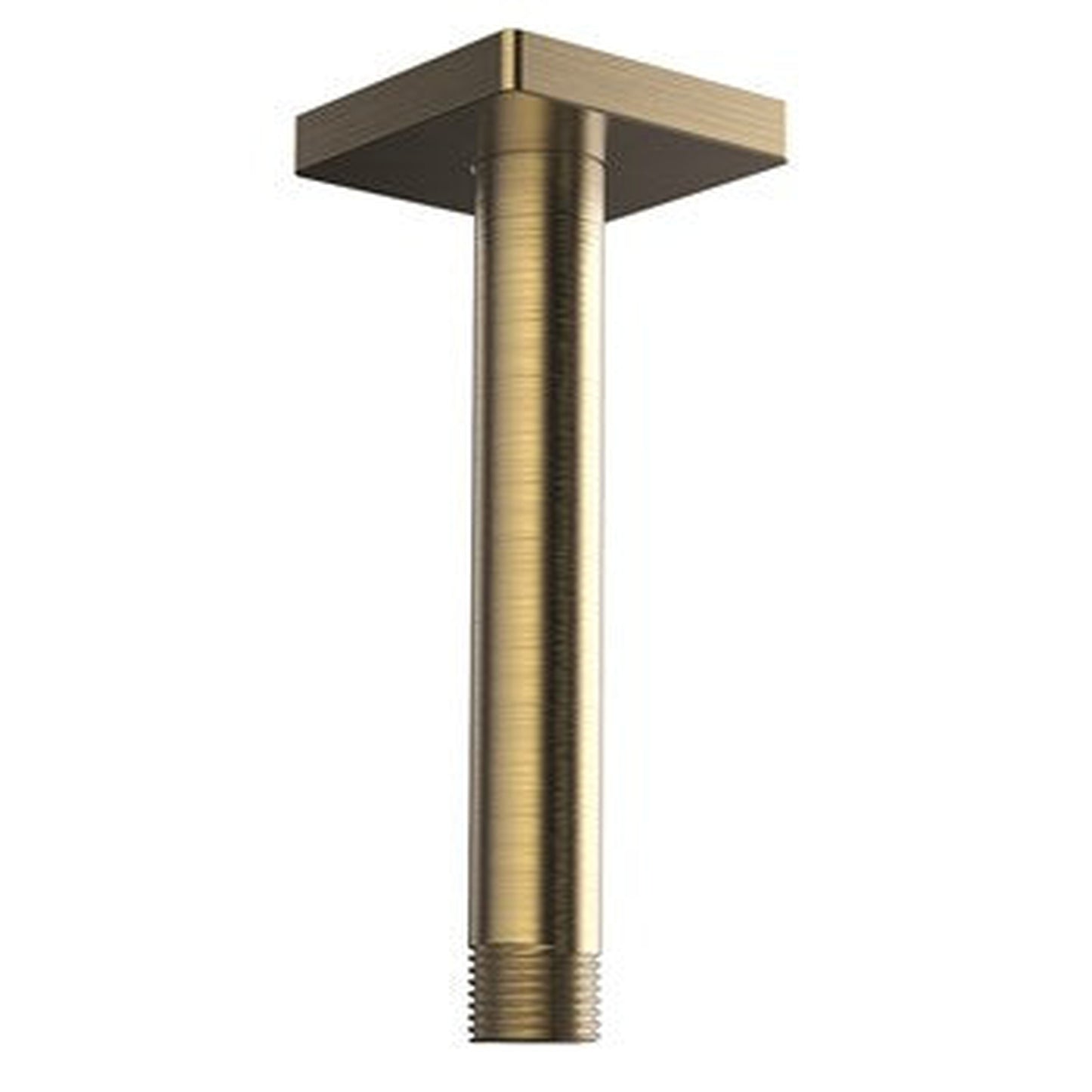 Speakman Lura 6" Brushed Bronze Ceiling Mount Shower Arm and Flange