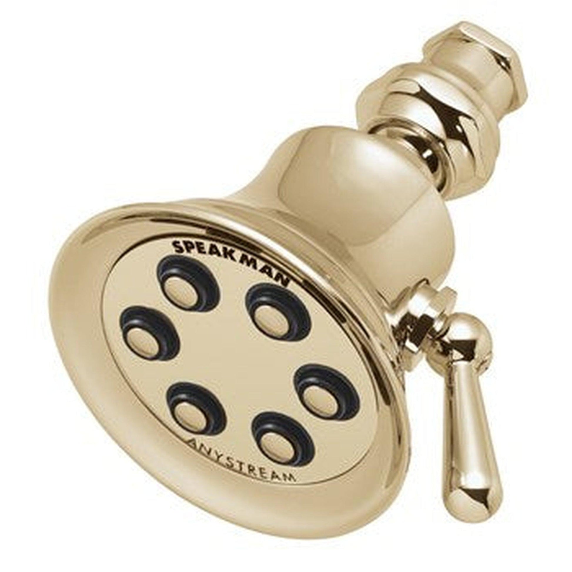 Speakman Retro 2.0 GPM 6-Plunger Solid Brass Construction Polished Brass Shower Head