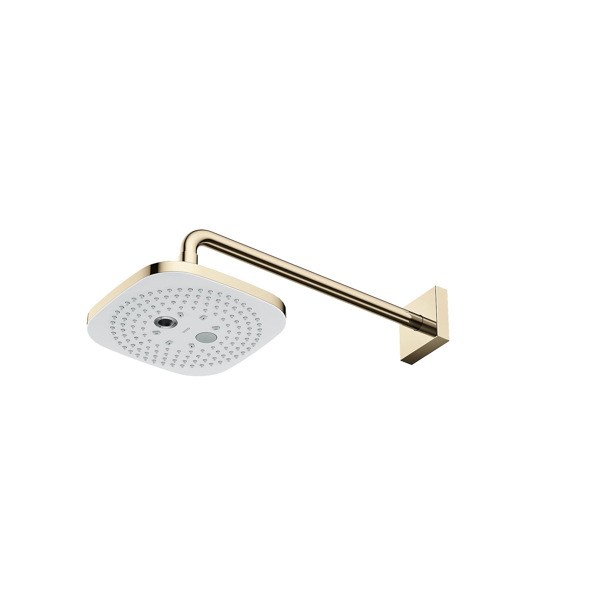 TOTO 9" Polished French Gold 1.75 GPM 2 Mode Square Showerhead
