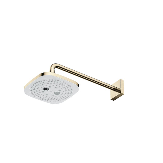 TOTO 9" Polished French Gold 1.75 GPM 2 Mode Square Showerhead