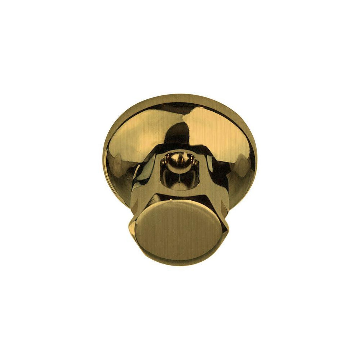ThermaSol Antique Brass Finish Old Style Steam Head