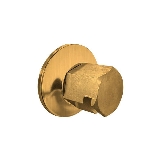 ThermaSol Antique Brass Finish Traditional Style Steam Head