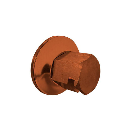 ThermaSol Antique Copper Finish Traditional Style Steam Head