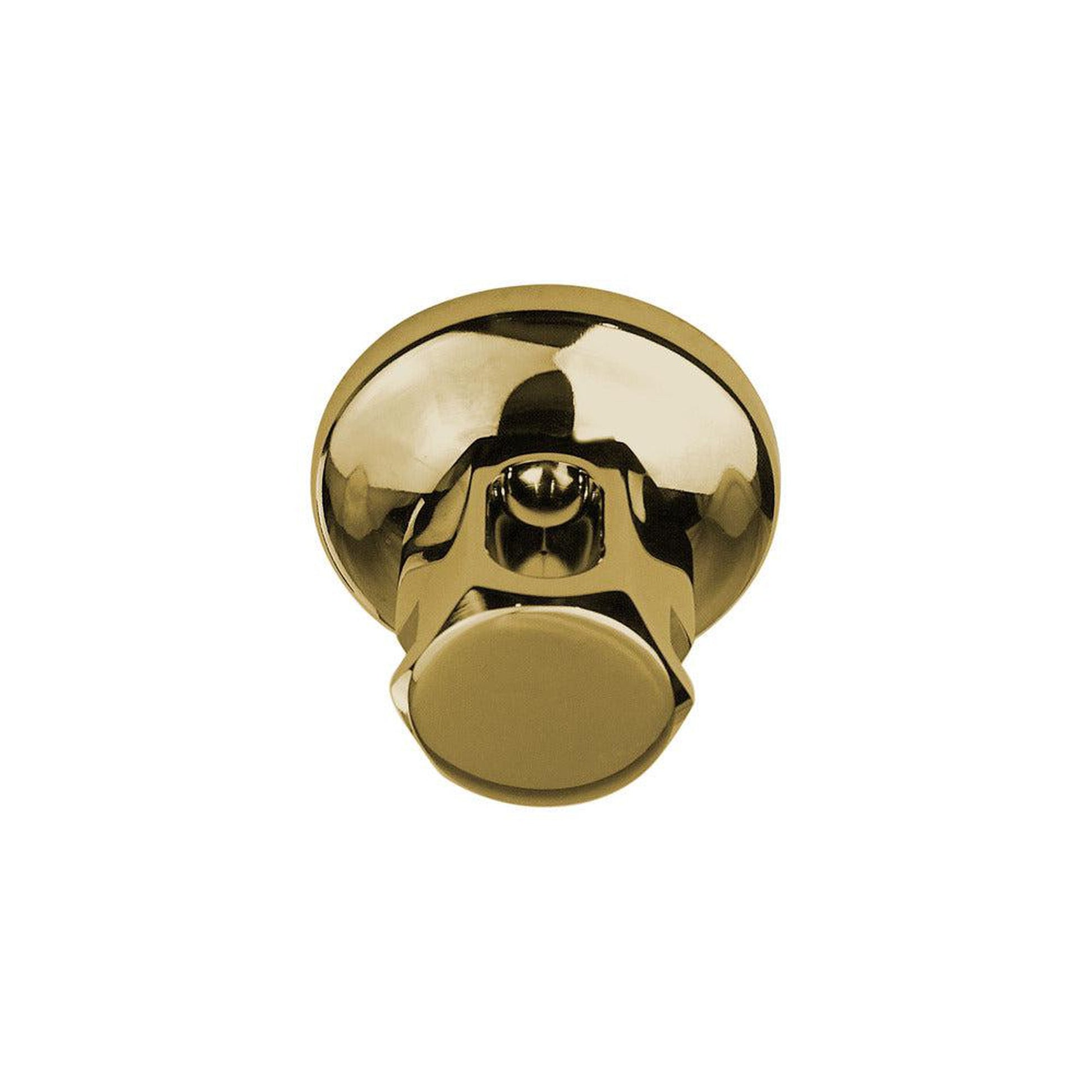 ThermaSol Polished Brass Finish Old Style Steam Head
