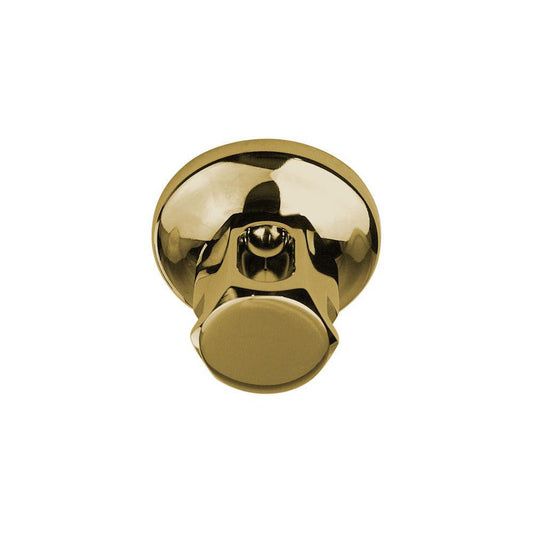 ThermaSol Polished Brass Finish Old Style Steam Head