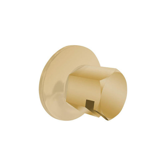 ThermaSol Polished Brass Finish Traditional Style Steam Head