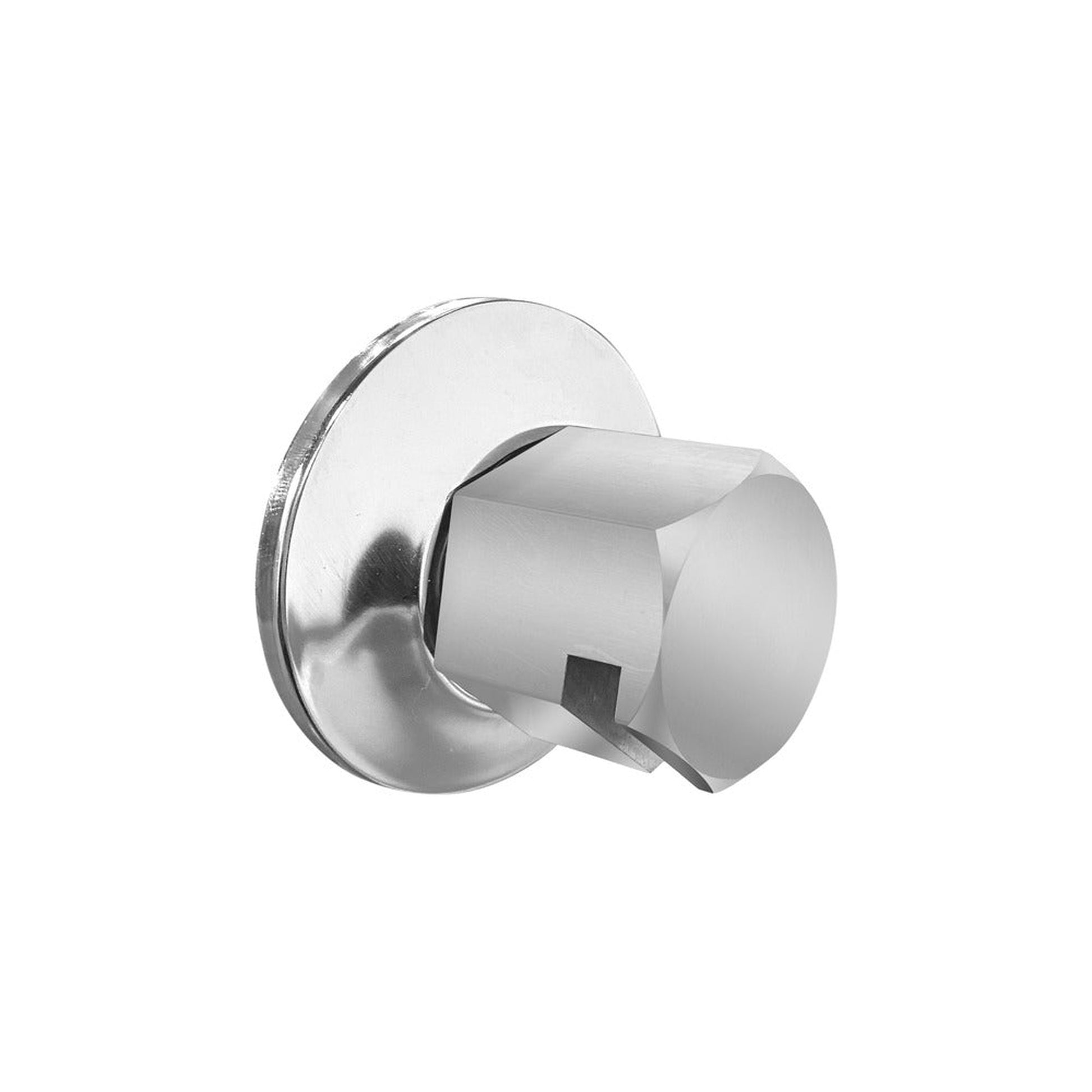 ThermaSol Polished Chrome Finish Traditional Style Steam Head
