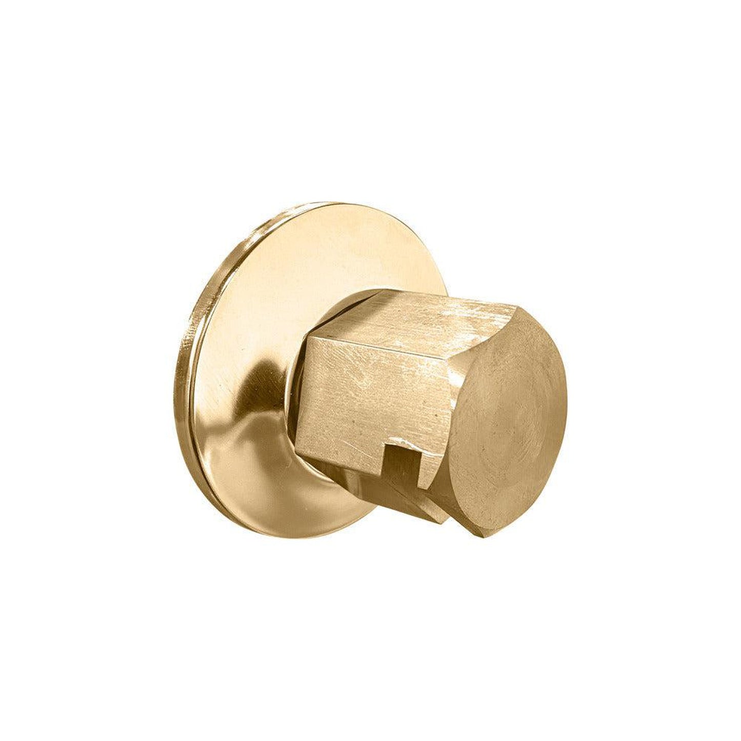 ThermaSol Satin Brass Finish Traditional Style Steam Head