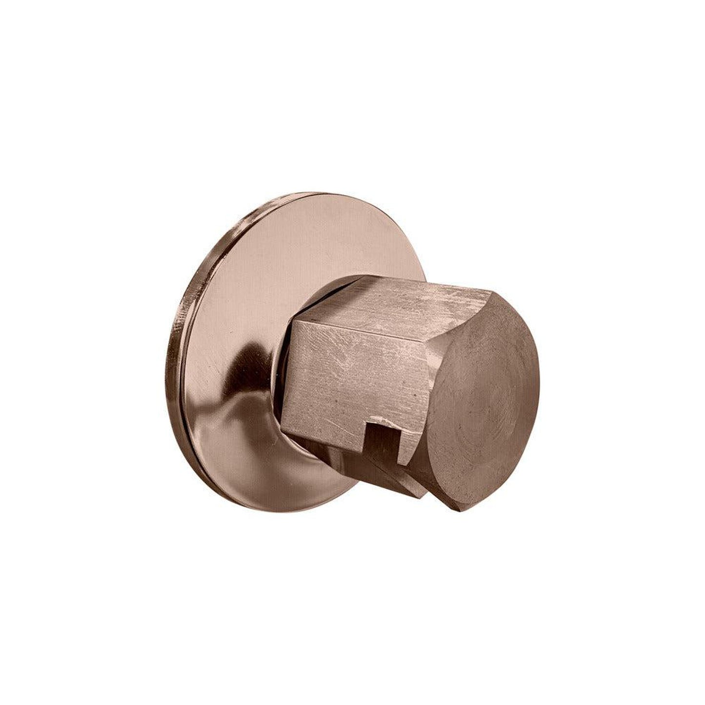 ThermaSol Satin Nickel Finish Traditional Style Steam Head