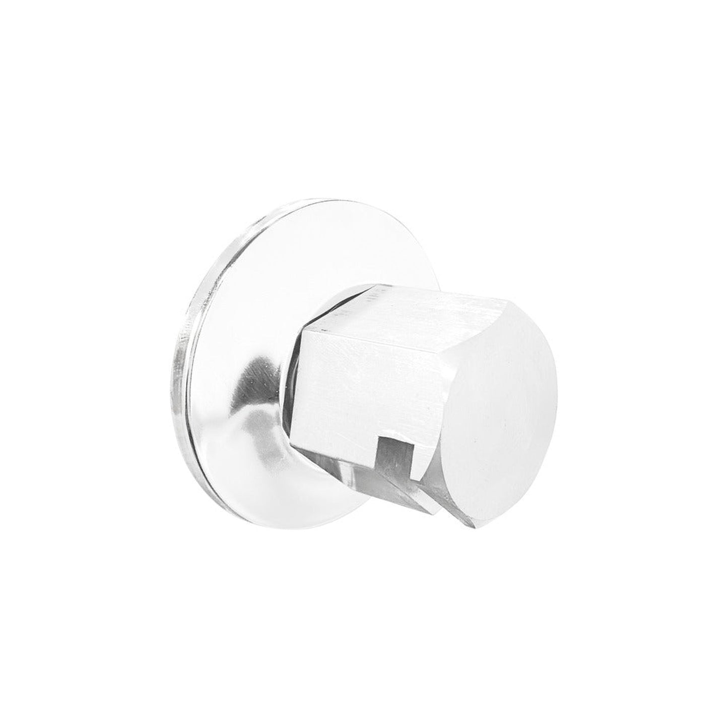 ThermaSol White Finish Traditional Style Steam Head
