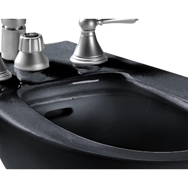 Toto Piedmont Ebony Vertical Spray Bidet