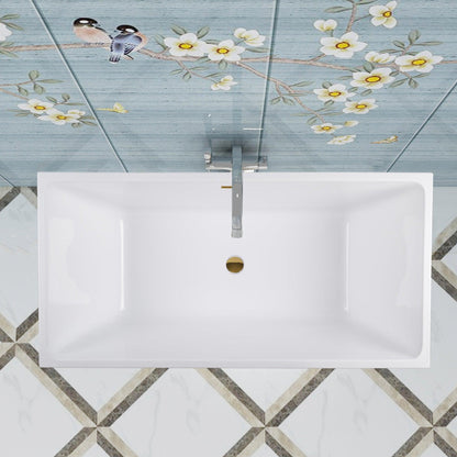 Vanity Art VA6821 67" White Acrylic Freestanding Soaking Bathtub With Titanium Gold Overflow & Pop-up Drain
